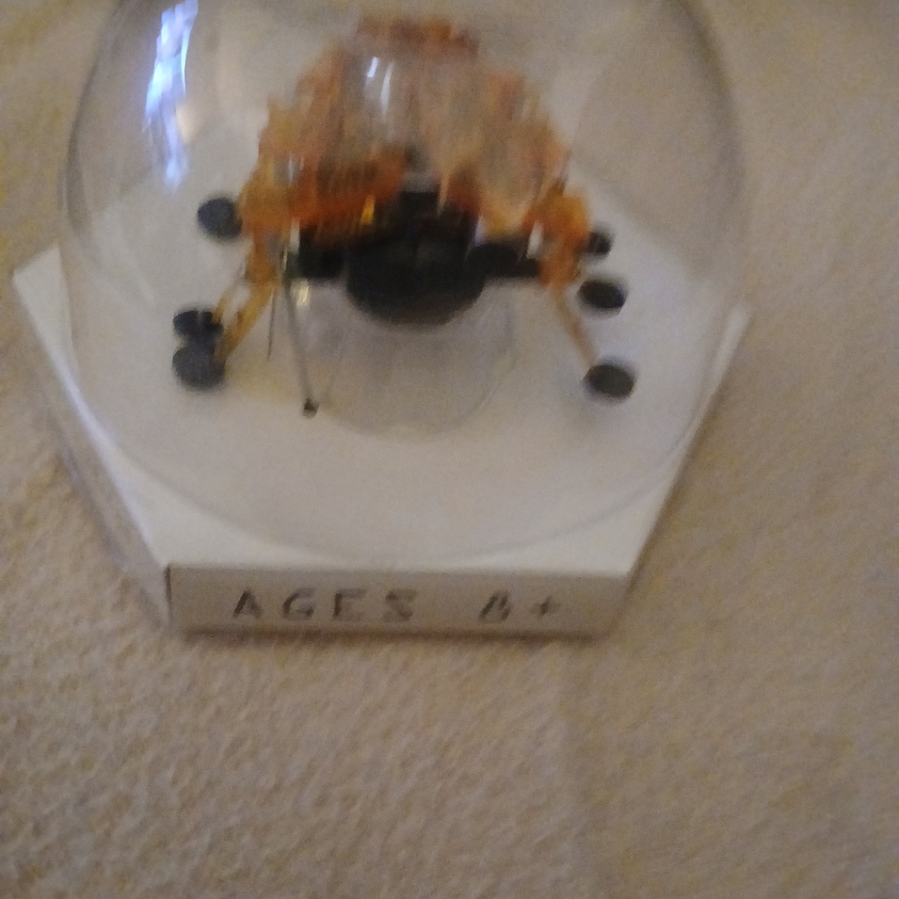 Hexbug Alpha Micro Robotic Creature - Picture 15 of 16